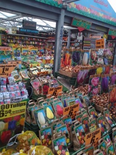 foto di Amsterdam